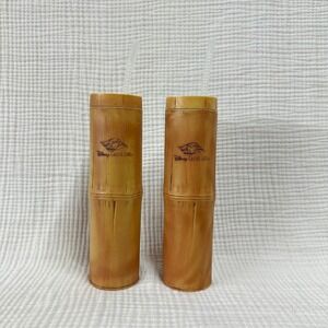 2 Disney Cruise Line Plastic Bamboo Look Tiki Tumbler with Lid & Straw